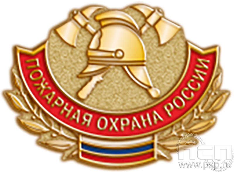 217.0. Значок "Пожарная охрана России"