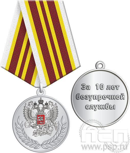 ФНС-2 Медаль "За 10 лет безупречной службы ФНС"