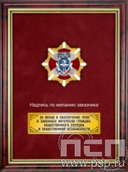 5.7.43.19. Панно с нагрудным знаком "30 лет Ассоциация ВБД ОВД и ВВ России" на бархате в рамке