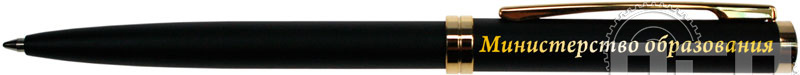 2240 Ручка шариковая Delgado Gold черная