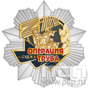 Картинка 5.2 (а) нагрудный знак "Специальная военная операция"