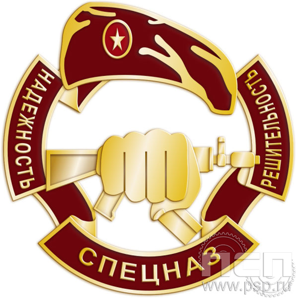 252.1(a). Нагрудный знак Спецназ