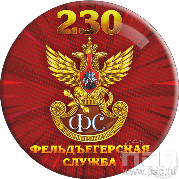6.4. Экспресс-значок  "230 лет Государственной фельдъегерской службы РФ"