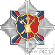 296.5. Нагрудный знак "105 лет Штабные подразделения МВД"