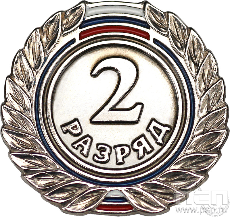 Значок 2 разряд взрослый СРиЗ5
