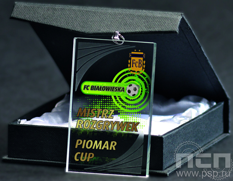 Награда хрустальная 80х50х6 в комплекте коробка GM8050