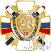 5.2(c). Нагрудный знак "55 лет Служба ДИиОД ГИБДД МВД России"