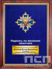 5.7.01.239. Панно с нагрудным знаком "140 лет Водолазное дело России" на бархате в рамке