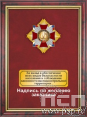 5.7.5.3. Панно с нагрудным знаком "35 лет со дня вывода советских войск из Афганистана" на бархате в рамке