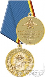 245.0.1(d). Медаль "110 лет ВВС России"