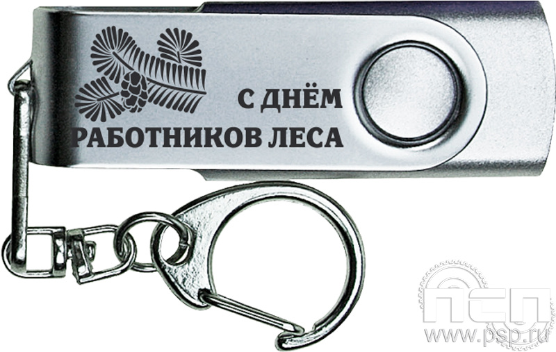 8.3.4. Флеш-накопитель USB 8GB "День работников леса"