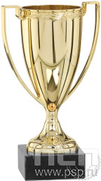 Кубок 9025/G (20см)