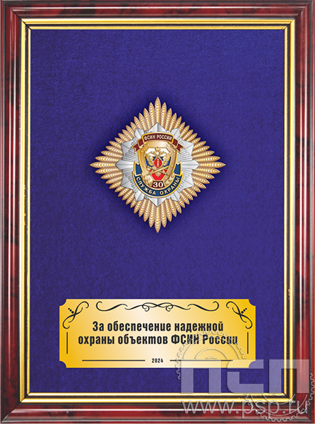 5.7.5.3. Панно с нагрудным знаком "30 лет Служба охраны ФСИН" на бархате в рамке