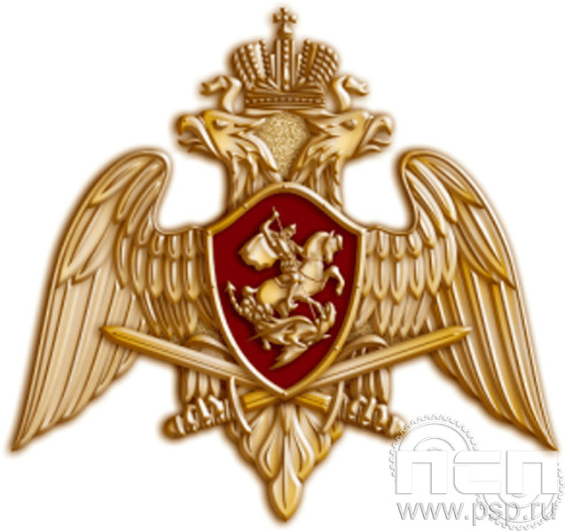 1551.0. Значок Орел Росгвардии малый
