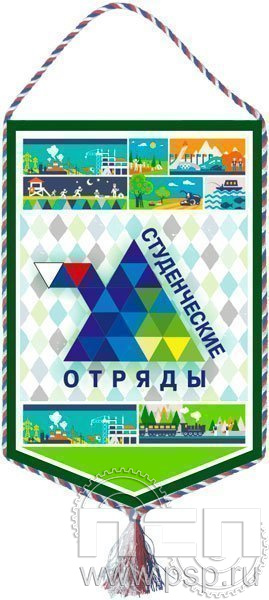 12.1.2. Вымпел тканевый "Студенческие отряды"