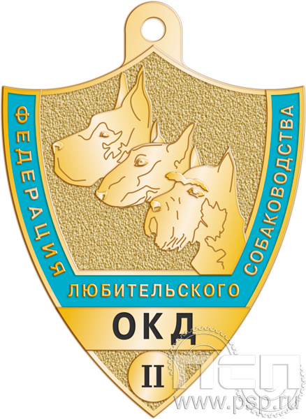 516.0(b). Жетон "ОКД II степень"