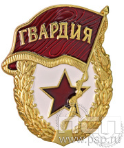 Нагрудный знак «Советская гвардия» 2039.0к