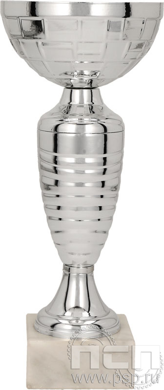 Кубок 8313C (24.5см) D-120