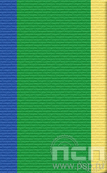 ЛЕНТА ОРДЕНСКАЯ (24 мм) 25.028