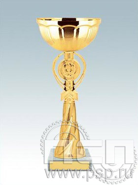 Кубок КМ1468B (27см) D-100