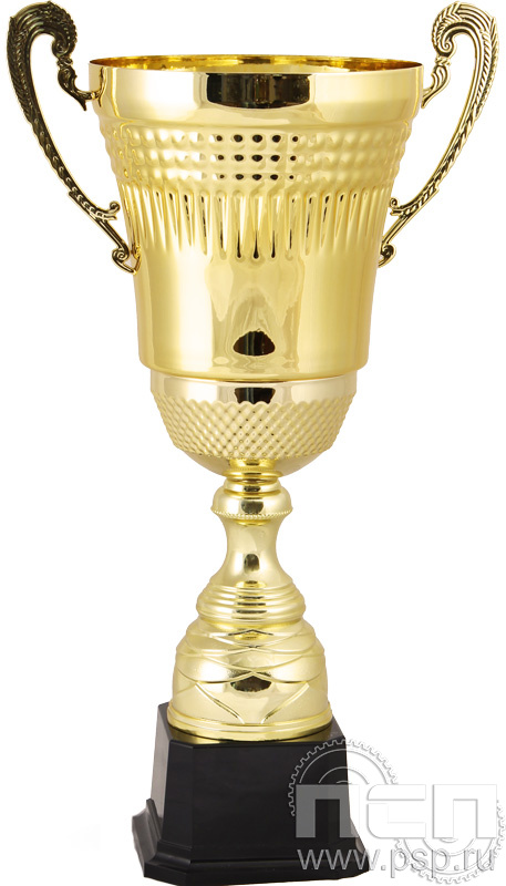 Кубок 2009C (53,5см) D-200