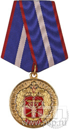 Медаль «100 лет Финансовая служба МО» 245.0.1(a)к