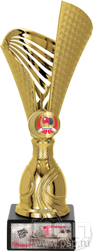 Кубок 9234C (21,5см)