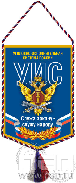 12.1.2. Вымпел тканевый "УИС России"