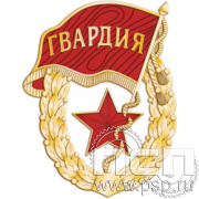 2039.0 Нагрудный знак "Советская гвардия"
