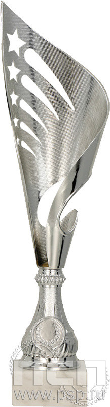 Кубок 9239C (33см)