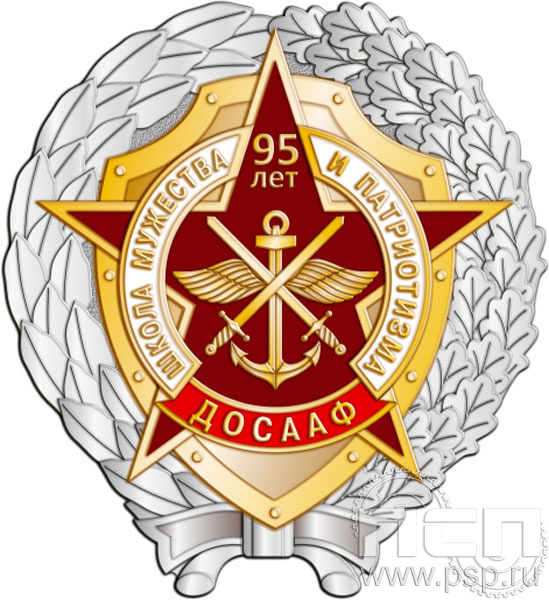 306.14. Нагрудный знак "95 лет ДОСААФ России"