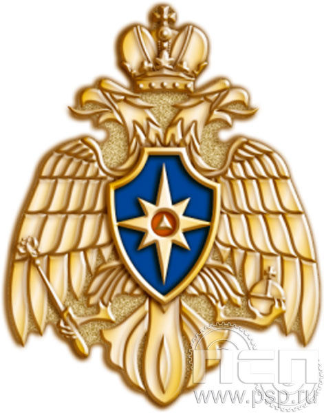 981.0. Значок "Орел МЧС"