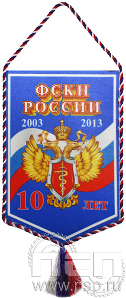 Вымпел «10 лет ФСКН России»