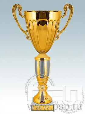 Кубок КМ1324D (31см) D-120