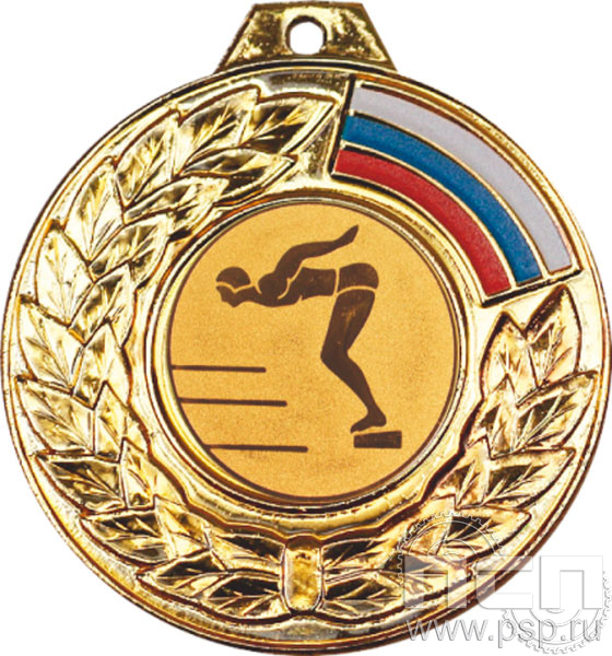 картинка Медаль RS02/G 