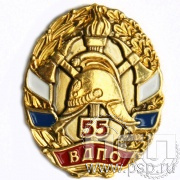 Значок 55 лет ВДПО России 791.0к