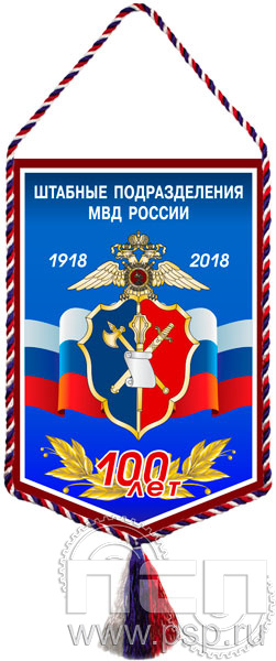 Вымпел «100 лет Штабные подразделения МВД России»