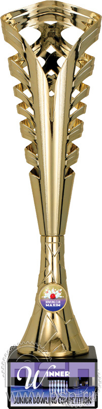 Кубок 9230B (38см)