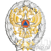 МЧС8 Нагрудный знак «Об окончании образовательного учреждения высшего профессионального образования»