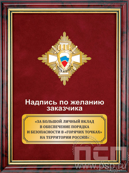 5.7.01.135. Панно с нагрудным знаком "35 лет ОМОН" на бархате в рамке