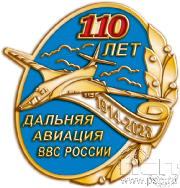 848.0. Значок "110 лет Дальняя Авиация ВВС России"