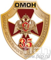 076.0. Значок "ОМОН Росгвардия"