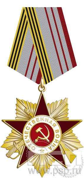 Нагрудный знак «Отечественная война» латунь 268.3.1к
