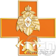 МЧС9 Нагрудный знак «Об окончании образовательного учреждения среднего профессионального образования»