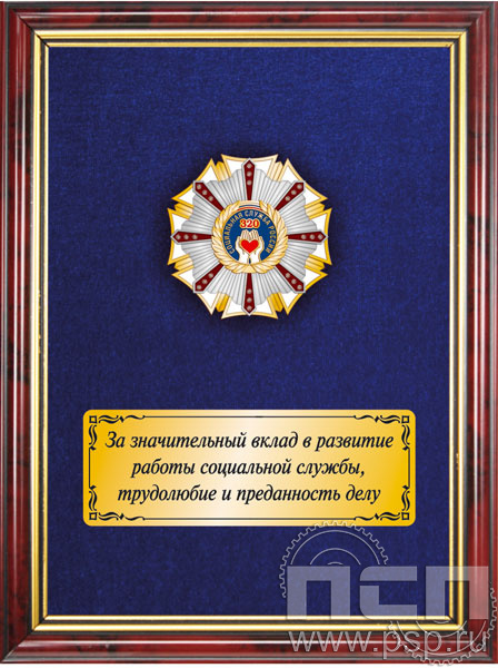 5.7.43.18. Панно с нагрудным знаком "320 лет Социальная служба России" на бархате
