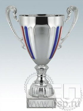 Кубок КМ1119B (31см) D-140