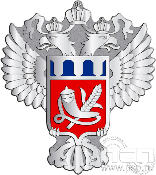 Значок "Росрезерв" нейзильбер 412.0(a)к