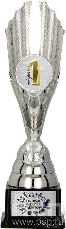 Кубок 7239MA (31см)