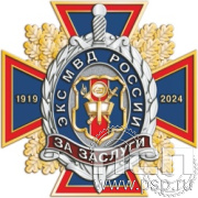 5.3(a). Нагрудный знак "105 лет ЭКЦ МВД России"
