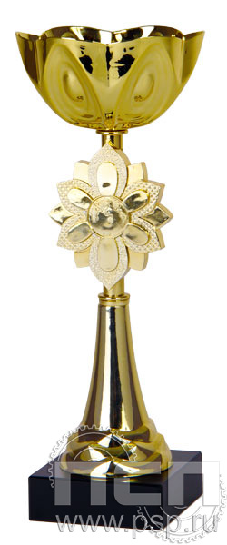 Кубок 9610B (29 см) D-120